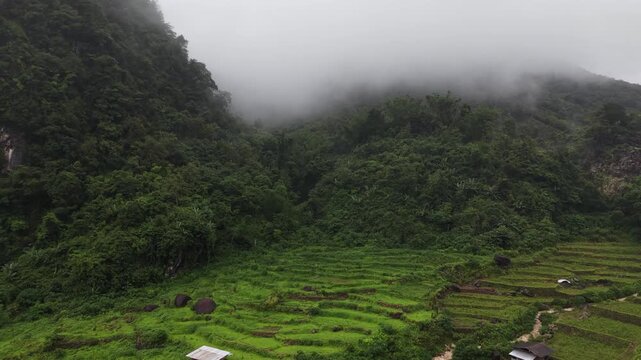 Rice terraces filled with water after rice harvesting on the sunrise.Aerial view of the rice field area, agricultural farms.