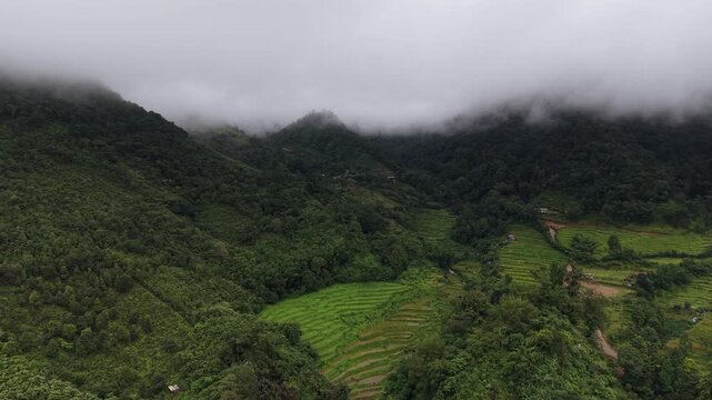Rice terraces filled with water after rice harvesting on the sunrise.Aerial view of the rice field area, agricultural farms.