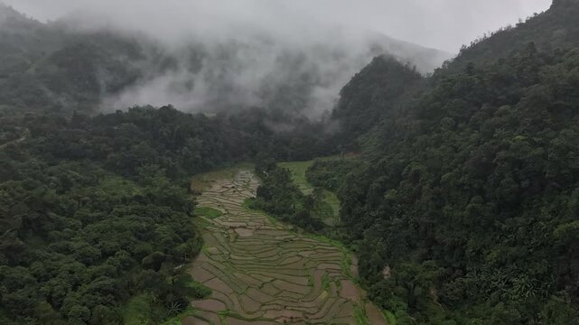 Rice terraces filled with water after rice harvesting on the sunrise.Aerial view of the rice field area, agricultural farms.
