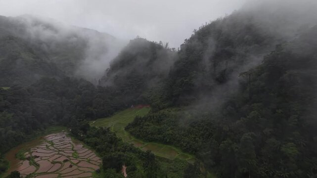 Rice terraces filled with water after rice harvesting on the sunrise.Aerial view of the rice field area, agricultural farms.