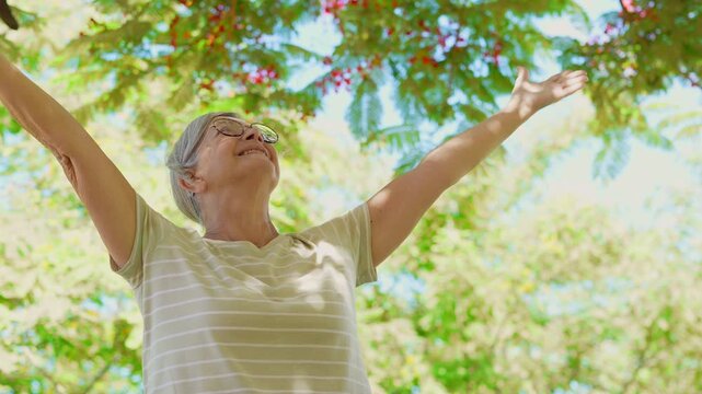 Elderly caucasian woman with arms outstretched breathing fresh air under the trees in a sunny day