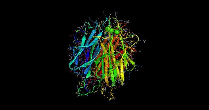 Human Adiponectin, hormone for metabolic regulation and diabetes research, 3D macromolecule 4K spinning