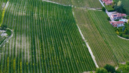 Obraz premium Aerial View of Lush Green Vineyard Rows and Italian Villa