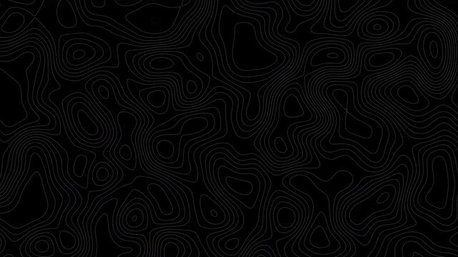 Abstract black background featuring subtle gray contour lines forming organic topographic patterns. Minimal modern composition with flowing geometric shapes, monochrome elegance, and refined visual te