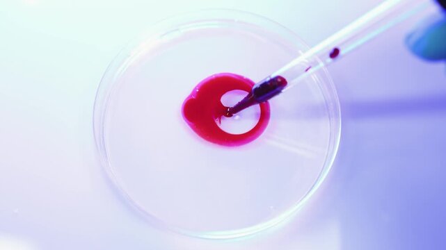 Closed up view of glass pipette with red liquid dripping glass petri dish background. Ideas for symbolizing microbiology, research, and scientific discovery. 4K video