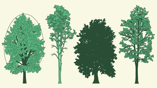 Eine Sammlung von vier verschiedenen Baum-Illustrationen im flachen Designstil, die verschiedene Baumarten und Blattformen auf einem hellen Hintergrund darstellen.