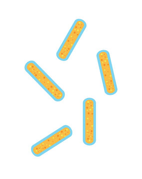 Cartoon vector illustration of rod shaped bacillus bacteria. Microscopic orange microorganisms isolated on white background.
