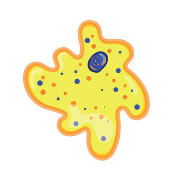 Cartoon vector illustration of spherical cocci bacteria. Microscopic green cells isolated on white background.