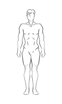 Vector line illustration of a lean male figure. Black linear contour man silhouette standing isolated on a white background.