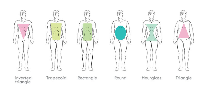 Line vector illustration set of male body types, each with an overlaid colored geometric shape and name label. Chart isolated on white background.