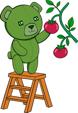 Teddy Bear Picking Tomatoes from a Plant