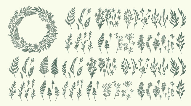 Set di elementi botanici disegnati a mano con ghirlanda floreale e rami di felce isolati su sfondo color crema per design decorativo e progetti creativi