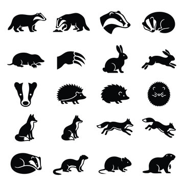 Silhouette icon set of forest and woodland wildlife species including badger fox and rabbit with wildlife hedgehog woodland silhouette creature isolated animalia sleeping collection