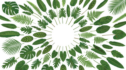 Tropical green leaves collection arranged in a circular frame isolated on white background © Md Atiar Rahman