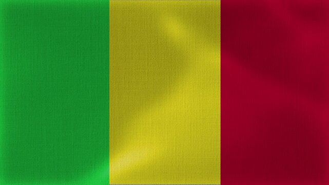 Mali Flag Animation With Fabric Texture