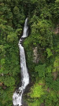 Amazing in nature, beautiful waterfall at colorful autumn forest in fall season Waterfall pool landscape
