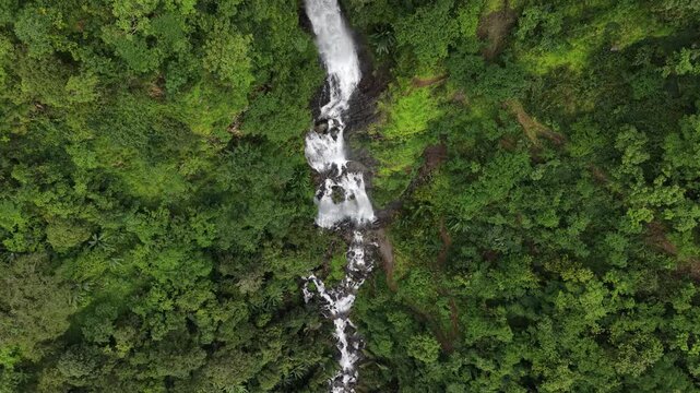 Amazing in nature, beautiful waterfall at colorful autumn forest in fall season Waterfall pool landscape
