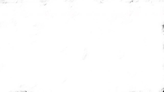 Paintbrush transition creating abstract monochrome lines with black and white contrast. Suitable for backgrounds, presentations, or artistic designs.