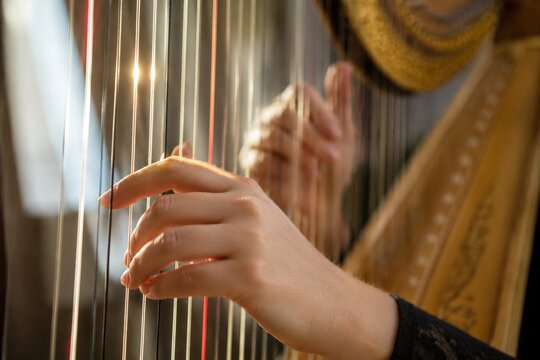 Close-up of harp strings being plucked with light glinting on the strings.