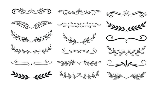 Vintage floral dividers vector set with hand drawn black laurels branches borders and swirls isolated on white background design.