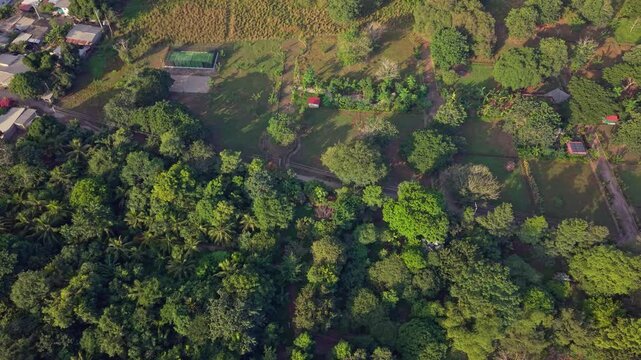 Aerial view of lush green forest and rural edge near Palomino, Colombia at sunrise