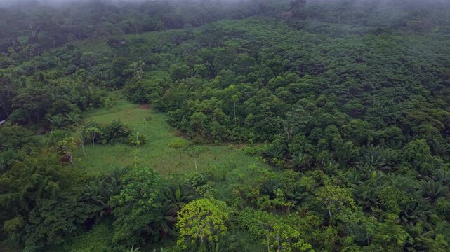 Aerial view of dense Amazon rainforest near Puerto Morona, lush greenery and mist