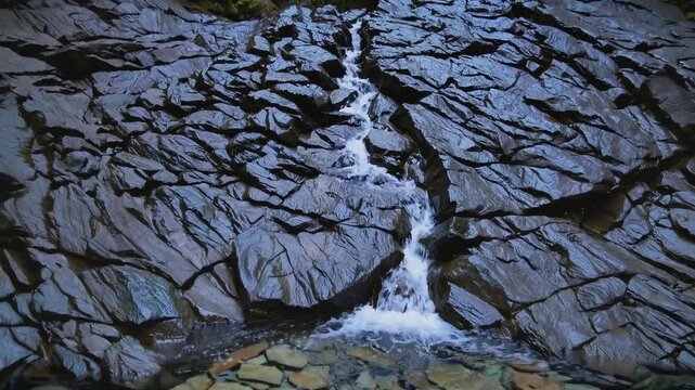 Flowing gently down dark wet cracked stones a pristine mountain brook cascades into a clear shallow pond filled with smooth pebbles while dense evergreen pine forest grows along the rocky wild bank