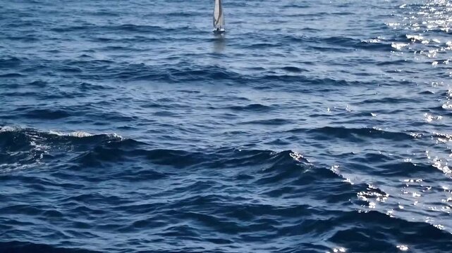 Distant view of lone white sailboat drifting in vast deep blue ocean during sunny day where sparkling water ripples smoothly around lonely yacht navigating through quiet marine wilderness scenery