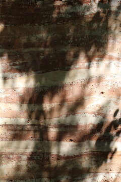 Textured rammed earth wall with dappled sunlight and leaf shadows