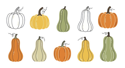 Collection of Various Pumpkins and Gourds in Different Shapes and Colors. © Wita