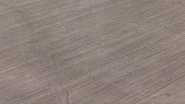 An abstract natural background displays dry earth texture with distinct parallel diagonal lines, ideal for copy space or design elements.