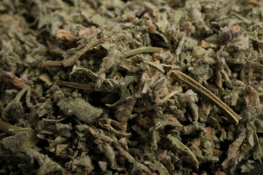 Heap of Dried Pennyroyal Herb Crushed Leaves on Black