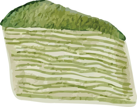 Sliced matcha mille crepe cake sweet pastry vector graphic