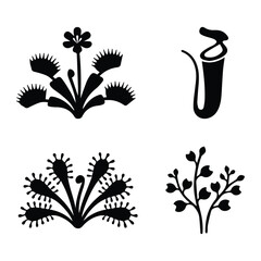 Carnivorous plants set icon Silhouette Vector black design on a white background © NexaVectors