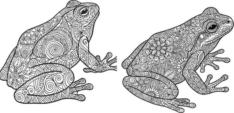 Cute Frog Coloring Page &ndash; Detailed Line Art for Kids and Adults