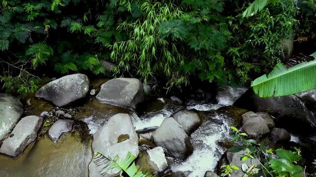The river flows in a slow, continuous motion over smooth rocks, generating a gentle ASMR murmur ideal as a study companion for better focus and concentration.