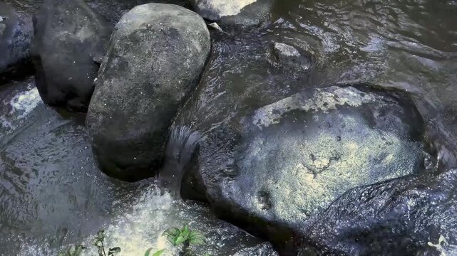 A quiet river stream trickles over smooth stones, its light, natural ASMR sound perfect for winding down and preparing the mind for deep sleep.