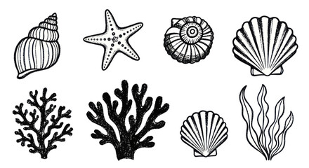Hand Drawn Ocean Elements Collection Sea Shells Starfish Coral Algae. © Ndog