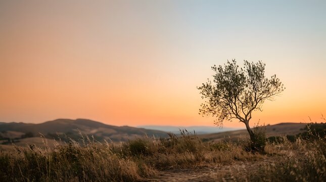 Warm sunset gradient overlay, grainy film texture, soft peach and terracotta tones, organic minimalist background with copy space