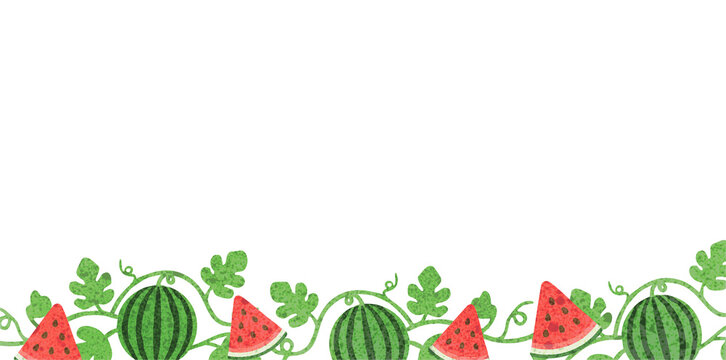 small watermelon plants with fruit on white bottom border