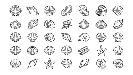 Detailed collection of sea shells and marine life outline icons with seashells © Kapilbiswas
