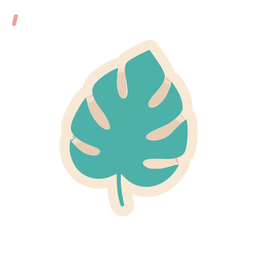 Monstera leaf illustration