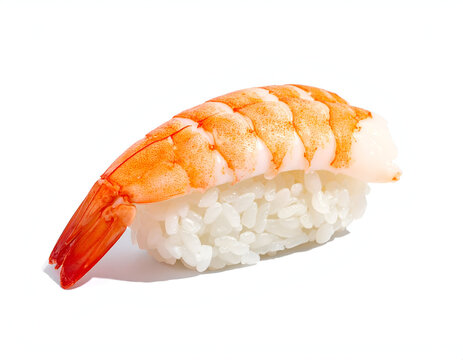A classic Japanese ebi nigiri sushi topped with a sweet cooked tiger shrimp isolated on white