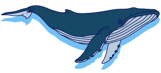 Illustration of a large whale swimming with its tail fin pointing downwards, isolated on a transparent background © SasubuArt