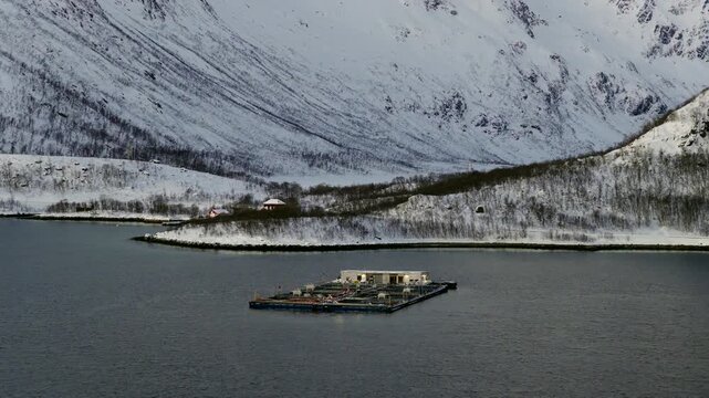 Aquaculture cod farm in Tromso fjord with snow-covered mountains, Norway. Aerial