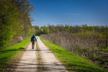 Obraz premium Solo Hiker Walking Down Country Dirt Path Through Spring Woods With Backpack and Clear Blue Sky