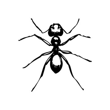 Unique shape with transparent background