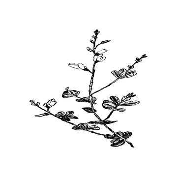 Unique shape with transparent background