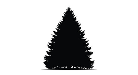 Coniferous tree silhouette against a white background a dark forest element silhouette © sanu