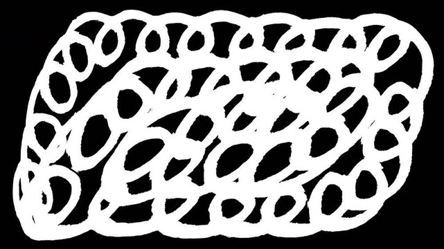 Isolated White Hand Drawn Animated Doodle Square Scribble Loop Overlay. 4K Video